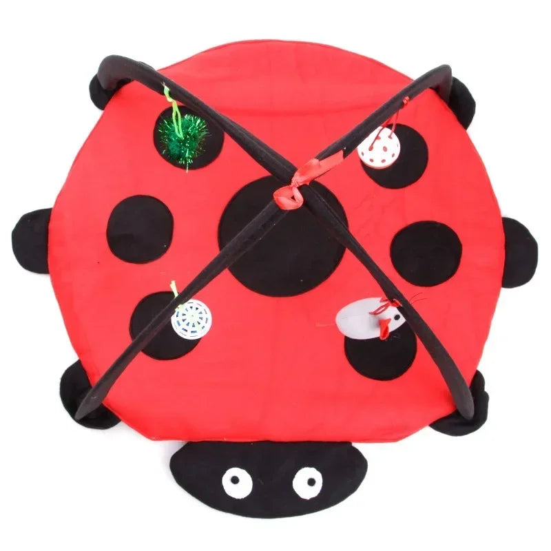 Sca2e13481ad24fb28f4b3e99fd5dc628R