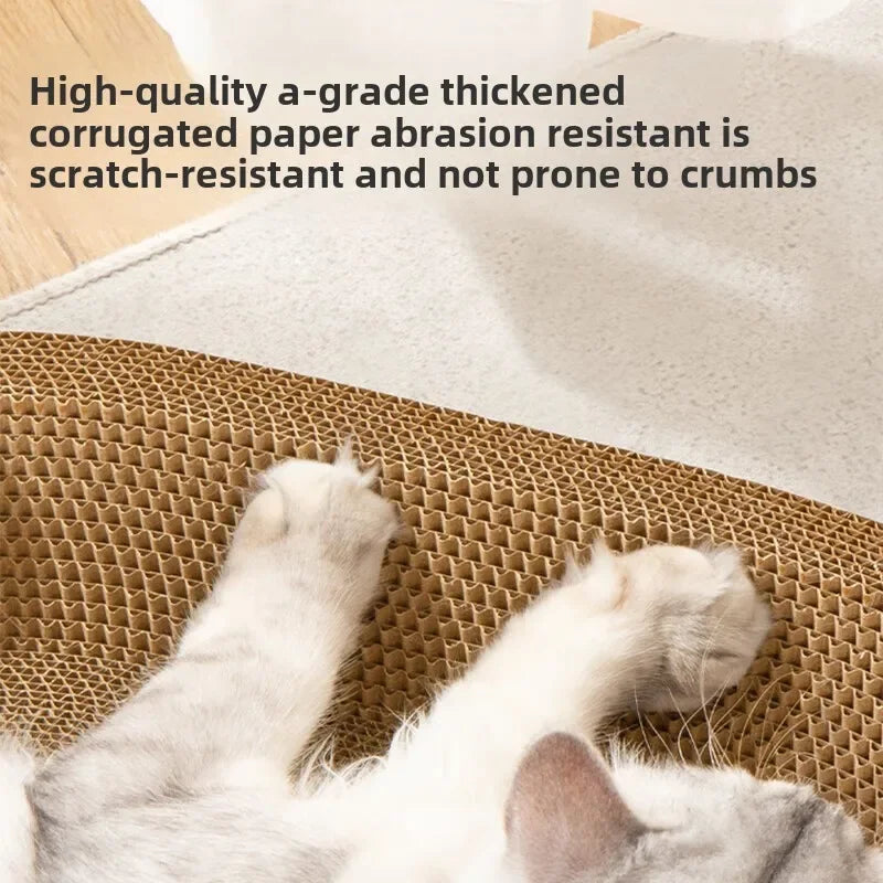 Sda0cb1f6546a49e88a4f49a7914c3c219